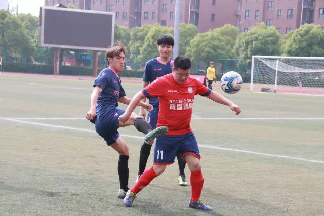 塔图姆压哨绝杀绿军险胜猛龙 雄鹿遭误判输球